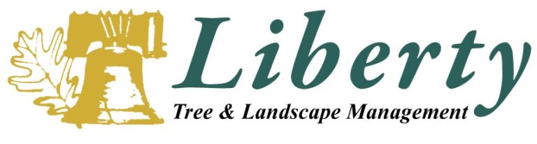 liberty-tree-landscapre-management