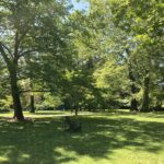 Cliveden's Grounds Open for Juneteenth!